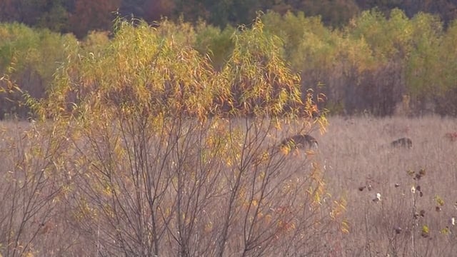 Deception Outdoors - Season 1 - Episode 3 - Bill Arnold.mp4