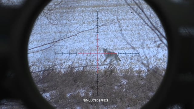 Wildlife Overdose - Season 1 - Episode 13 - Kirby Hunts 2021.mp4