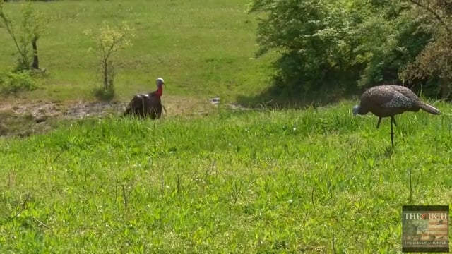 Through the Eyes of the Hunter - Episode 38 - Rick White Deer Hunt & Turkey Hunt Combo Show