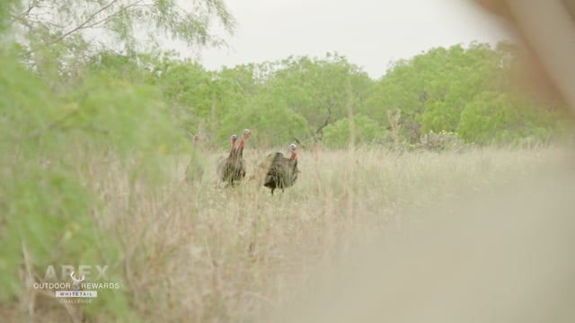 The Game - Season 4 - Episode 5 - Sunshine State Osceola