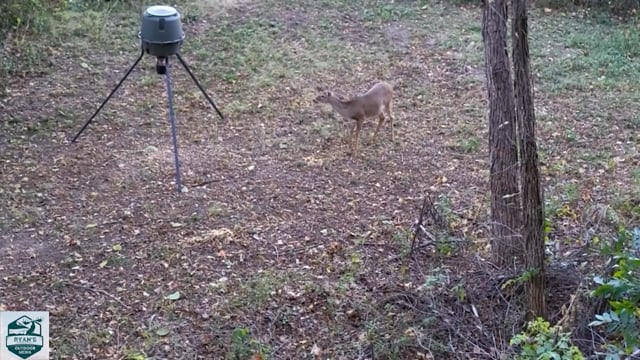 Ryan’s Outdoor Media Season 1 - Episode 8 - Josh’s Doe 2