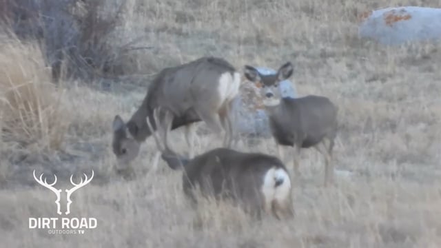 Dirt Road Outdoors TV - Season 7 - Episode 11 - Savery Creek Outfitters