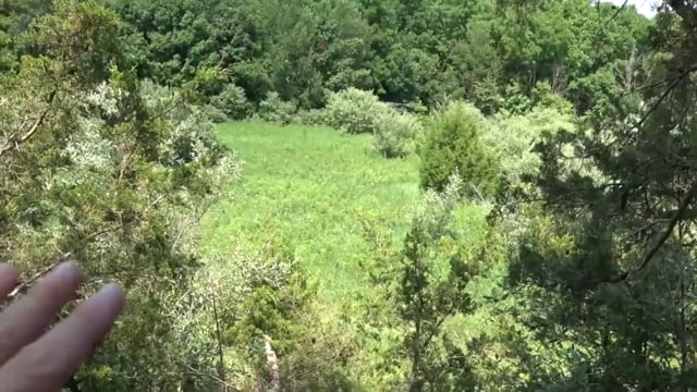 Total Outdoor Pursuit Webisode - Season 6 - Episode 7 - Building the Bird's Nest Stand