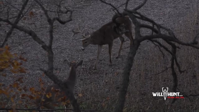 The Will Hunt Life - Season 2 - Episode 4 - Crown and Coke For Hunt Channel