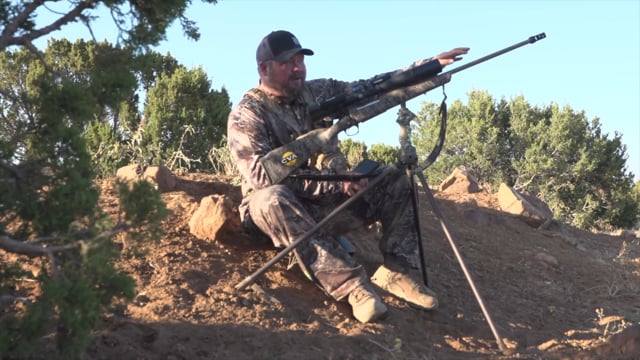 Open Season TV - Season 13 - Episode 8 - New Mexico Bugling Bulls