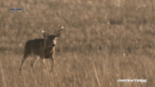 Lethal Mission - Season 8 - Episode 7 - The Annual Kansas Hunt