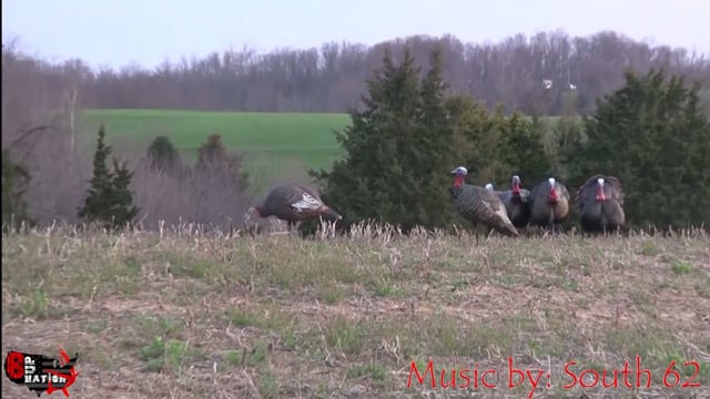 8Up Nation TV - Season 10a - Episode 7 - Texas Whitetail Part 1