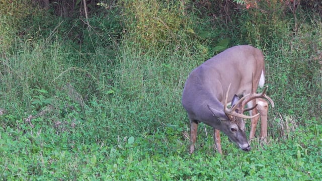Spiritual Outdoor Adventures - Season 21 - Episode 4 - The Three Amigos and the Total Whitetail Experiment Revised