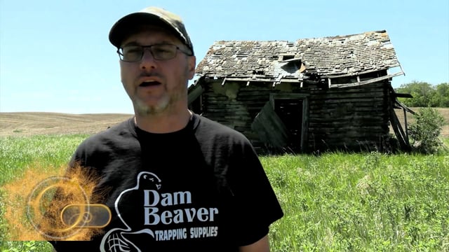 Real Deal - Season 8 - Episode 5 - More Bears & Bees
