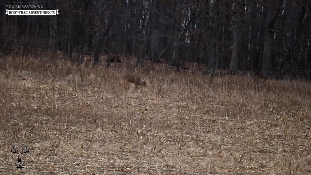 Boot-Trac Adventures - Season 6 - Episode 5 - Haas Family Hunting!