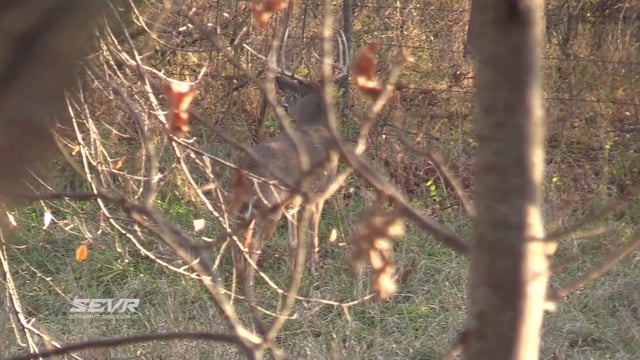 Victory Outdoors - Season 8 - Episode 2 - Persistent Payoff.mp4