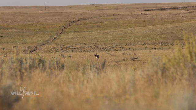 The Will Hunt Life - Season 2 - Episode 3 - South Dakota Pronghorn.mp4