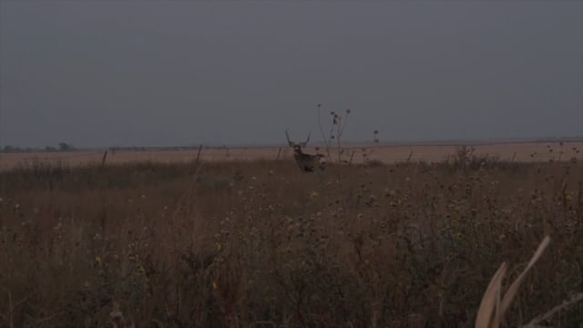 Open Season TV - Season 13 - Episode 3 - West Bound and Down.mp4