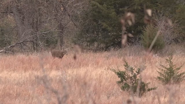 The Virtue - Season 9 - Episode 2 - Nick Stephan