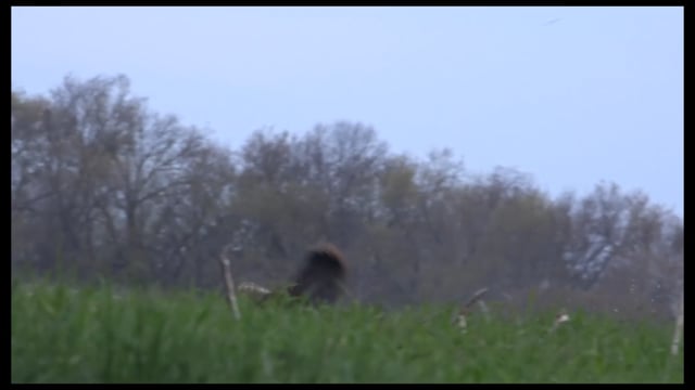 Own the Season TV - Season 2 - Episode 2 - Landon's First Turkey