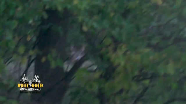 Victory Outdoors - Season 8 - Episode 1 - Love At First Buck