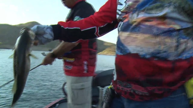 Jimmy Houston Outdoors - Season 22 - Episode 27 - Baccarac.mp4