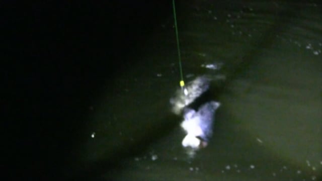 704 Outdoors Fishing Edition - Season 1 - Episode 3 - Chasing Charlie Pt 1.mp4