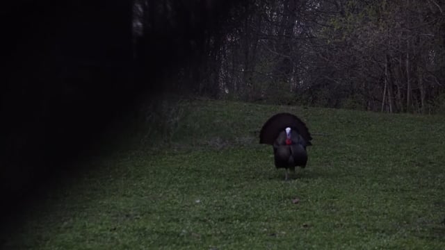 Respect The Game - Season 11 - Episode 13 - Turkey Fowl.mp4