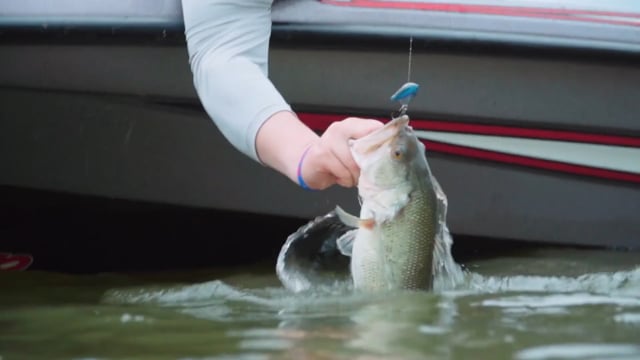 The Direction TV - Season 5 - Episode 10 - Florida Bucket List Fish.mp4