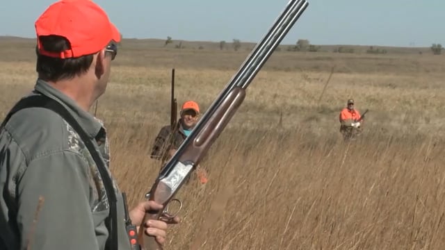 Scott Linden's Upland Nation - Season 1 - Episode 28 - Public access bird hunting ... STOP first.mp4