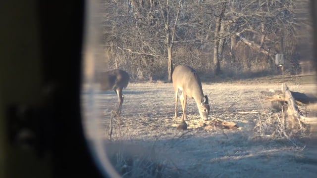 Innerlocs Outthere - Season 13 - Episode 7 - Cami Got A buck.mp4