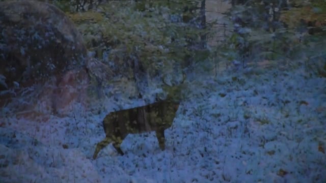 Experience New York Outdoors - Season 2 - Episode 9 - Seeking redemption.mp4