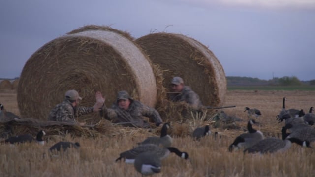 Small Town Hunting - Season 4 - Episode 5 - MANITOBA HONKERS Pt. 2.mp4