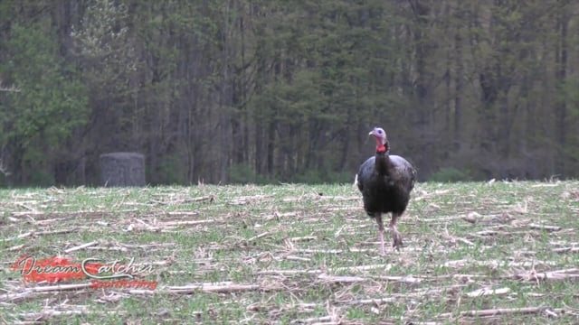 Experience New York Outdoors - Season 2 - Episode 7 - Spring is in the air