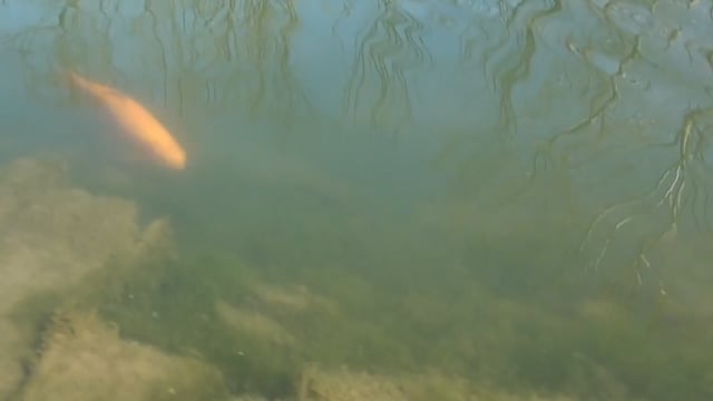 Growing Up Outthere - Season 4 - Episode 5 - Mom Mom goes fishing