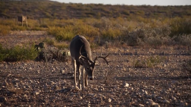 Respect The Game - Season 11 - Episode 6 - Border Bucks part 2