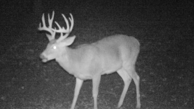 Innerlocs Outthere - Season 13 - Episode 3 - Kentucky Deer