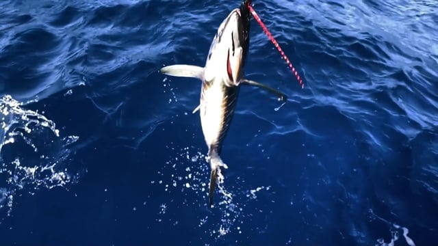 Growing Up Outthere - Season 4 - Episode 1 - Off Shore Fishing