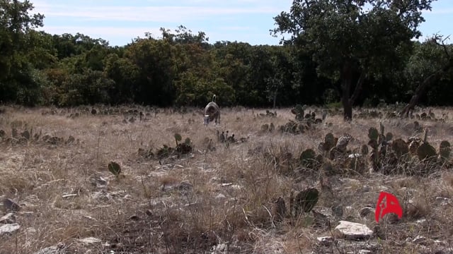 True Life Hunting Adventures - Season 4 - Episode 8 - Early Season Whitetail