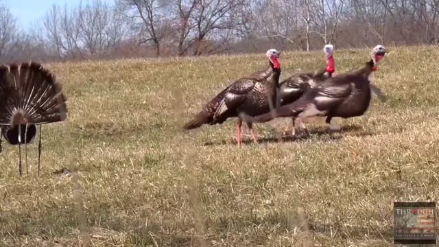 Through the Eyes of the Hunter - Episode 29 - Walt and Rick Iowa turkey hunt