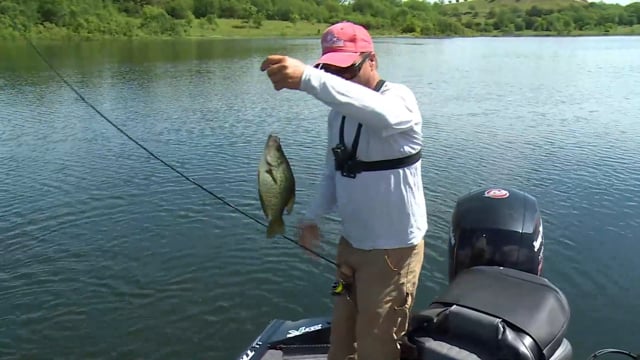 Jimmy Houston Outdoors - Season 22 - Episode 8 - Garship Enterprise