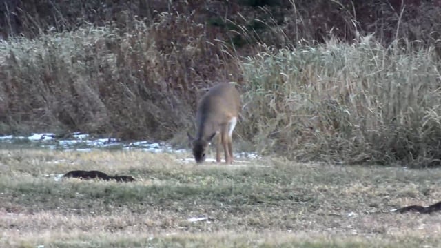 Real Deal - Season 7 - Episode 8 - Hawkrock Wilderness Adventures