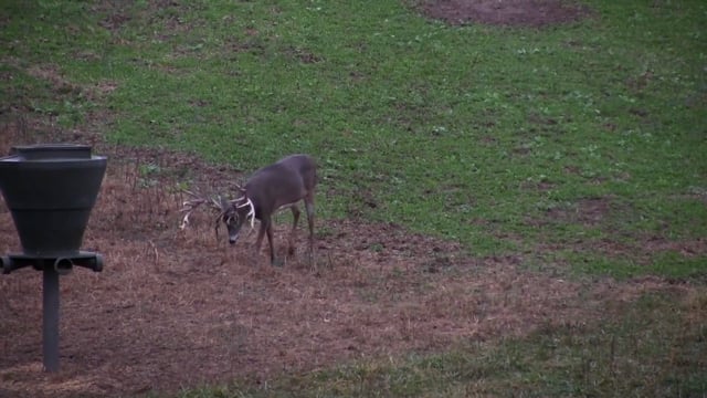 True Life Hunting Adventures - Season 4 - Episode 4 - Buck Called Buzz Saw