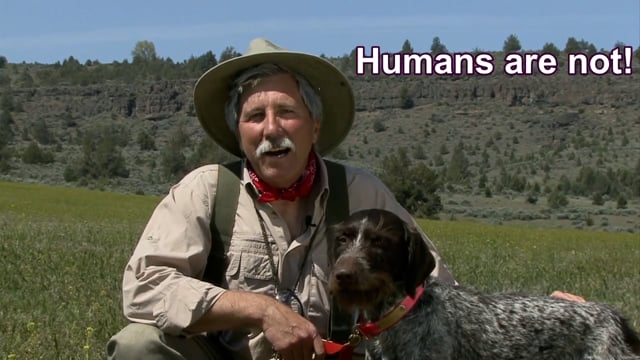 Scott Linden's Upland Nation - Season 1 - Episode 12 - Honesty is the best policy  with your hunting dog!
