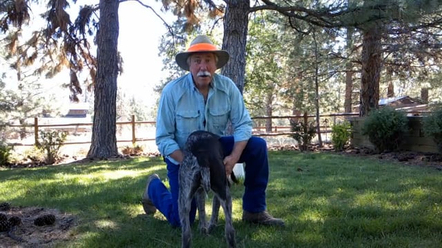 Scott Linden's Upland Nation - Season 1 - Episode 11 - Hauling ash  minimize for peak performance in your bird dog