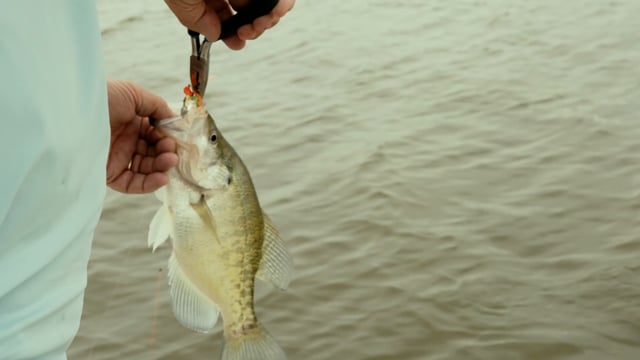 Legends of the Outdoors TV - Season 1 - Episode 3 - Paul Alpers