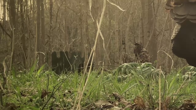 Total Outdoor Pursuit Webisode - Season 6 - Episode 1 - Caught Off Guard!