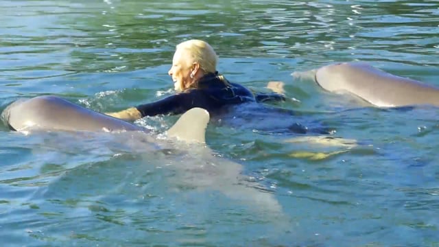 Let's Take it Outside - Season 1 - Episode 12 - Kissing Sharks, Swimming with Dolphins & Saving Turtles all in a days work