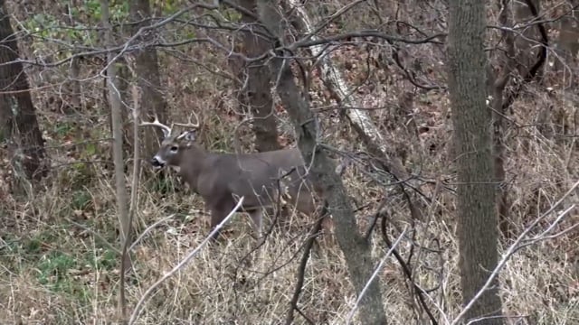 Apex Hunter - Season 2 - Episode 2 - Bigger Bucks