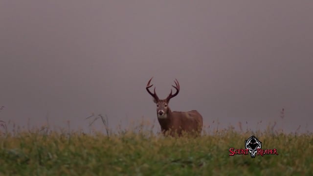Victory Outdoors - Season 7 - Episode 17 - Goodie Two Shoes
