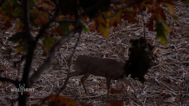 The Will Hunt Life - Season 1 - Episode 10 - Vincent the Magnificent