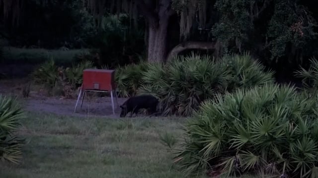 Beyond The Bar - Season 2 - Episode 11 - Gators, Hogs and Good Times! - Part 2