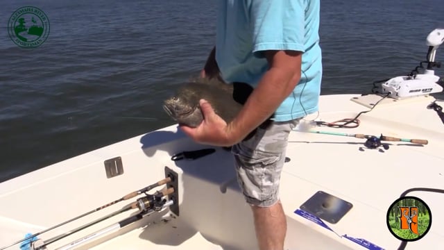 Altamaha River Sportman - Season 1 - Episode 10 - Tripletail