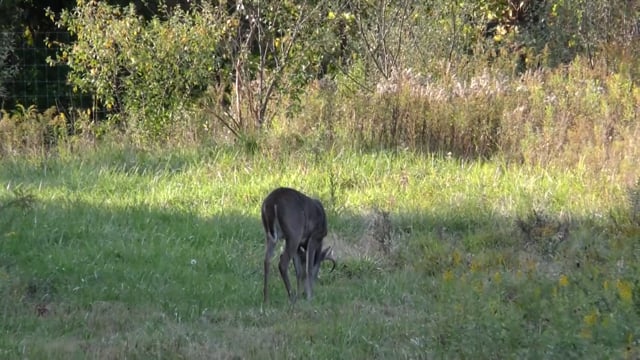 Blood Bought Outdoors - Season 1 - Episode 7 - Oscar October Hunt at Masterpiece Whitetails