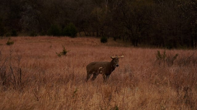 The Virtue - Season 8 - Episode 4 - Heartbreak Ridge